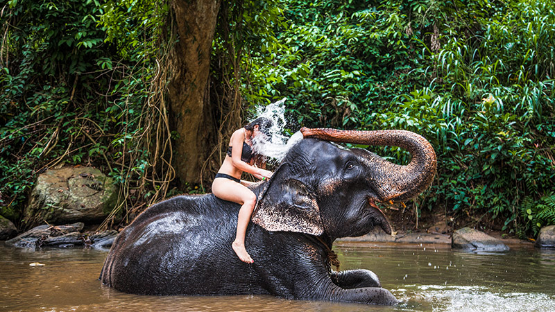 Pinnawala Sri Lanka