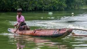 Madu River