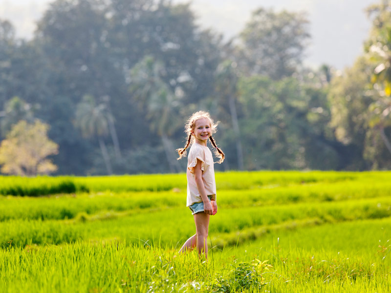 a girl on a paddy field in Sri Lanka